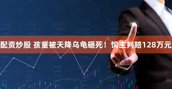 配资炒股 孩童被天降乌龟砸死！饲主判赔128万元