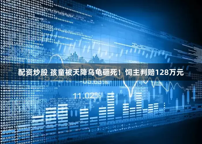 配资炒股 孩童被天降乌龟砸死！饲主判赔128万元