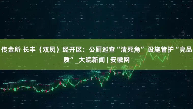 传金所 长丰（双凤）经开区：公厕巡查“清死角” 设施管护“亮品质”_大皖新闻 | 安徽网