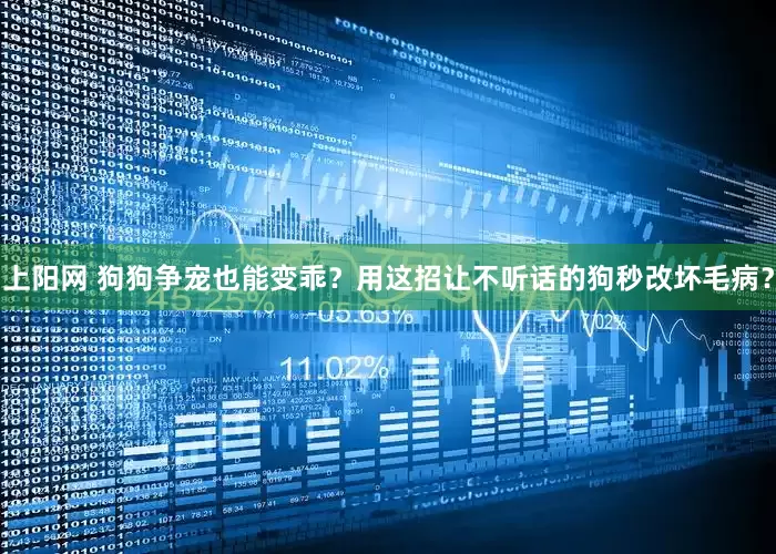 上阳网 狗狗争宠也能变乖？用这招让不听话的狗秒改坏毛病？