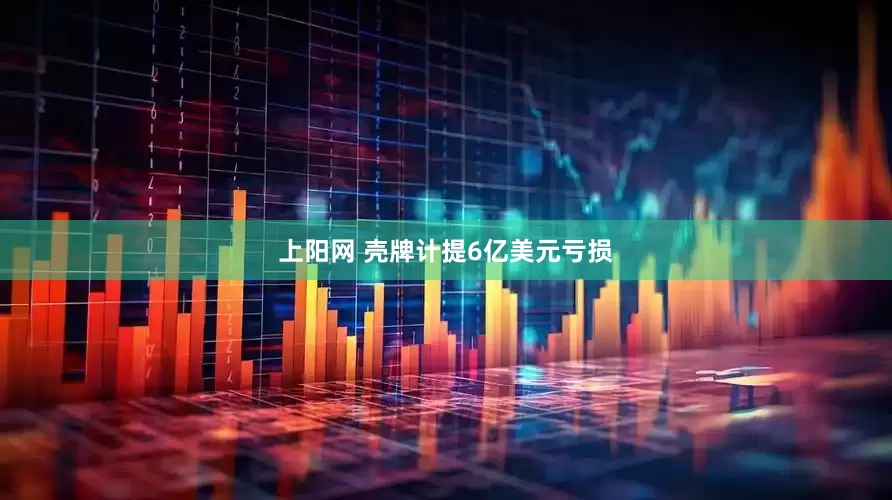上阳网 壳牌计提6亿美元亏损
