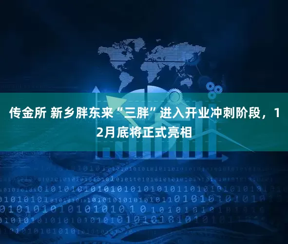 传金所 新乡胖东来“三胖”进入开业冲刺阶段，12月底将正式亮相